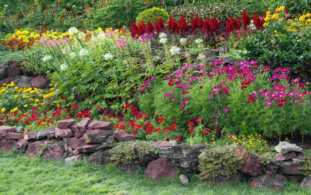 Cómo crear un jardín de plantas decorativas
